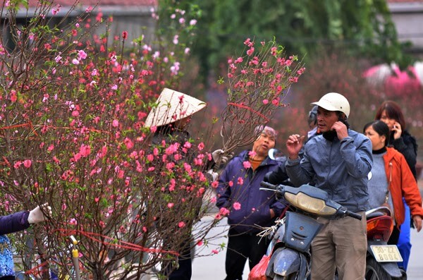 Nô nức không khí Tết Nguyên Đán tại các chợ hoa quanh Hà Nội