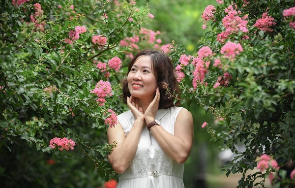 Ngắm con đường hoa tường vi nở rộ ở Hà Nội