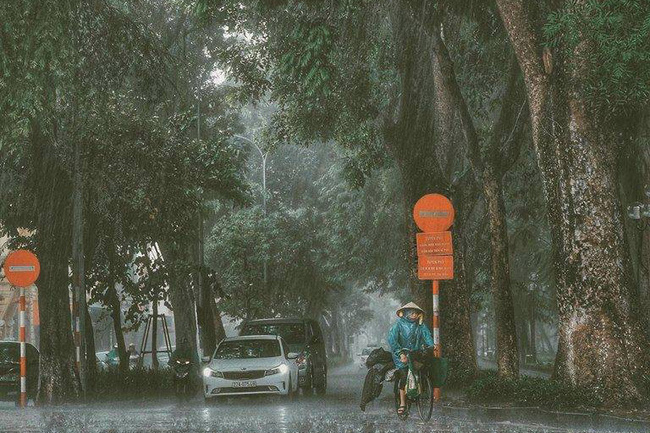 Những khoảnh khắc đẹp nao lòng của Hà Nội ngày mưa giao mùa
