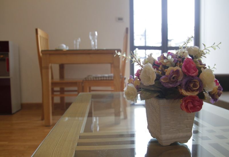 CH446 - CT81 - CH446