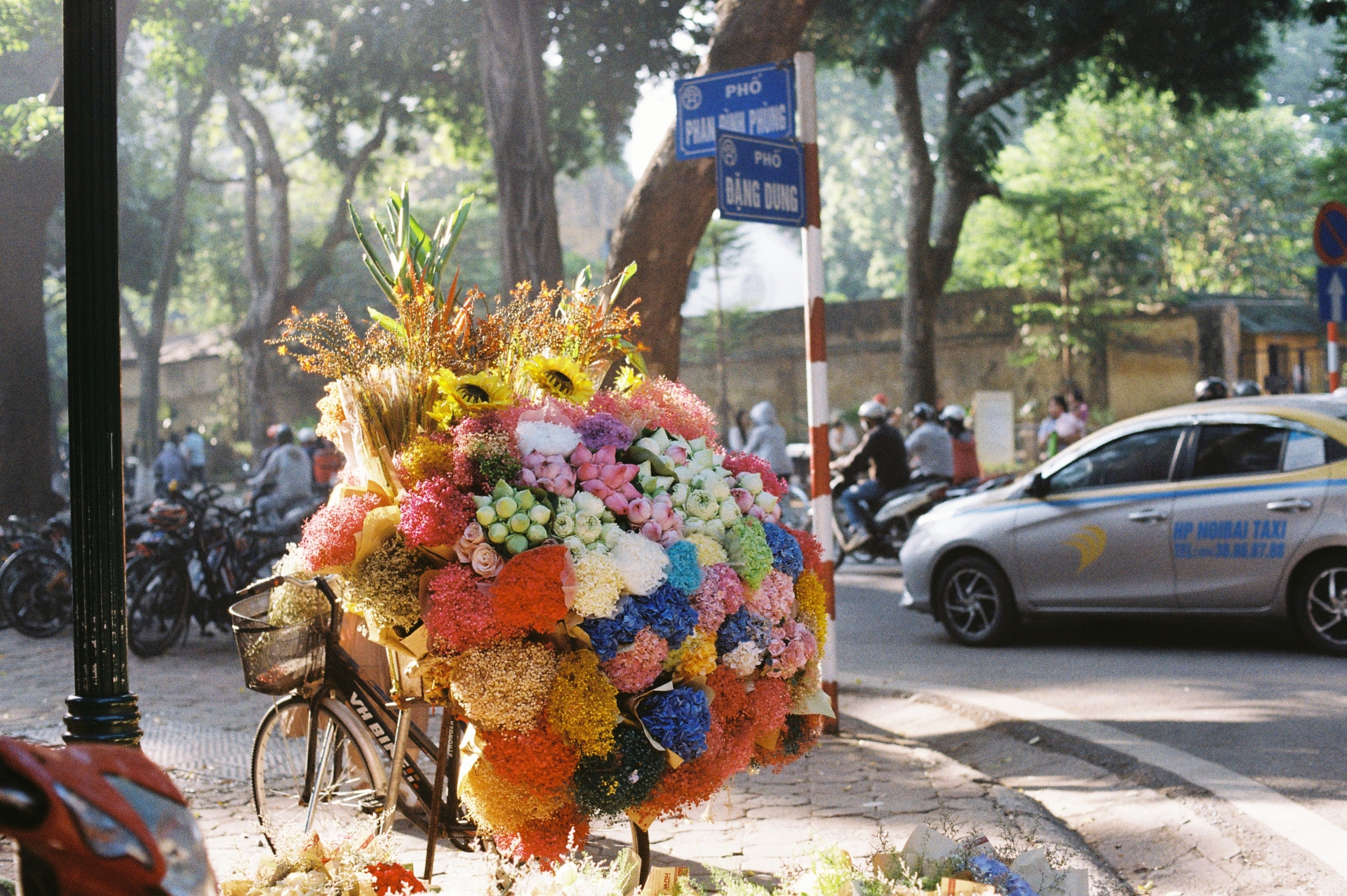 Phan Dinh Phung street, by north end of the Citadel