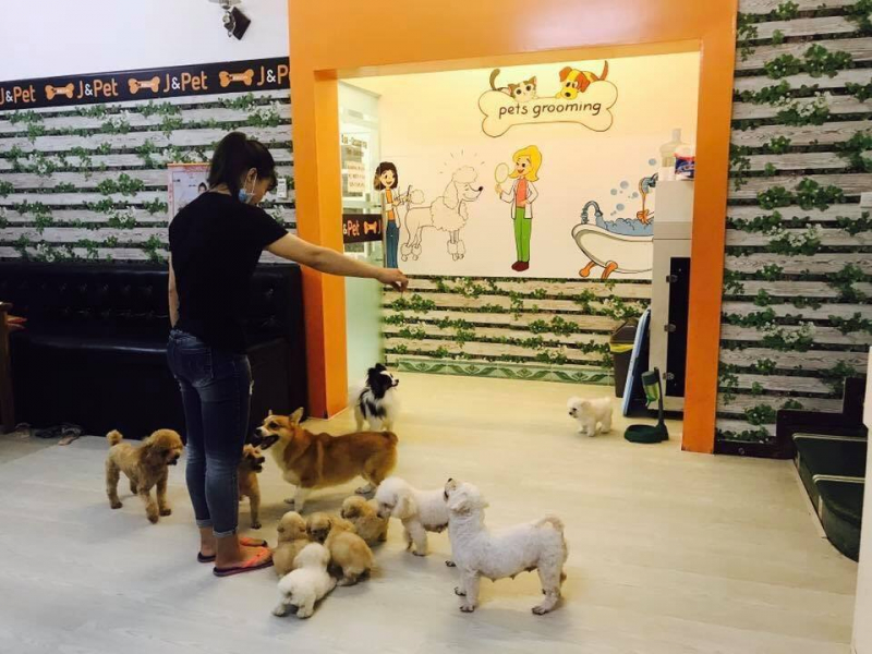 BEST PET SHOPS/SPA IN TAY HO DISTRICT HANOI